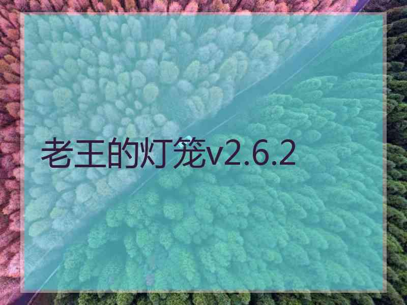 老王的灯笼v2.6.2