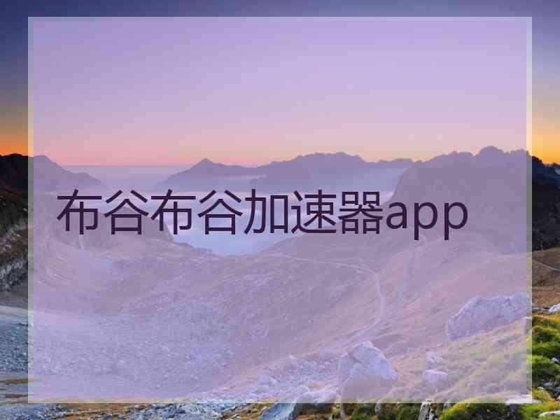 布谷布谷加速器app