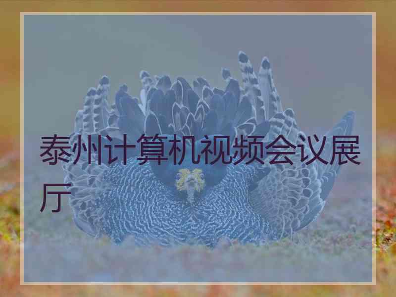 泰州计算机视频会议展厅