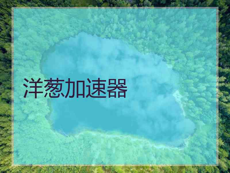 洋葱加速器