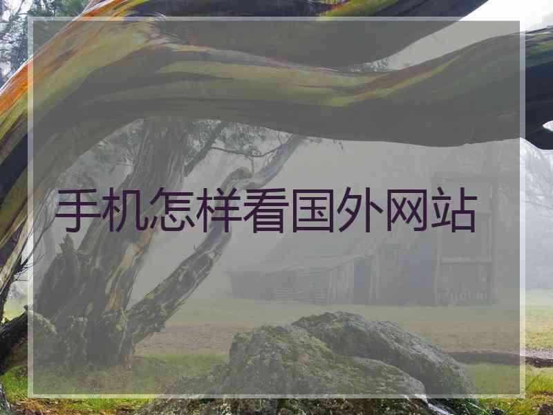 手机怎样看国外网站