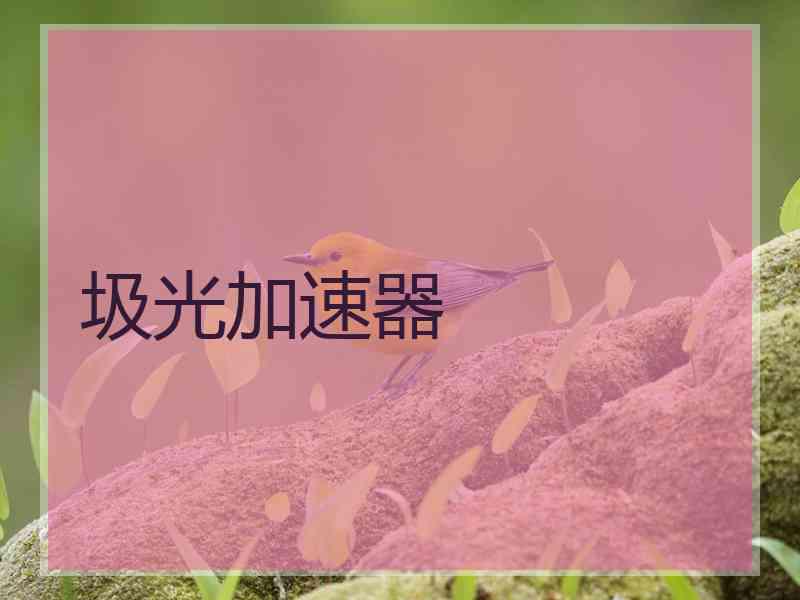 圾光加速器