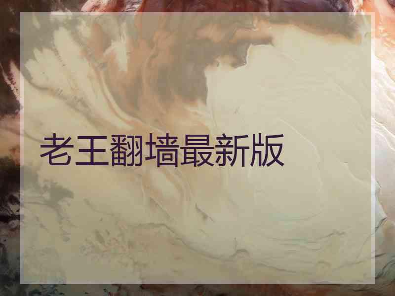 老王翻墙最新版