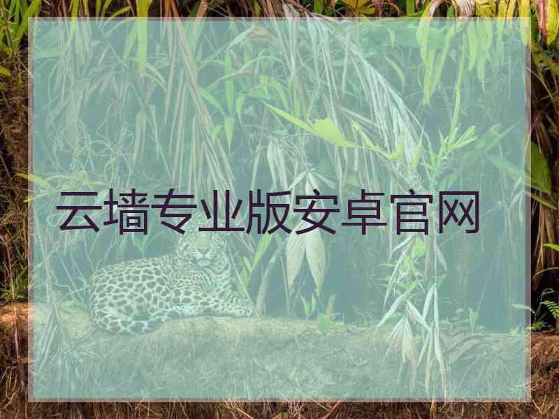 云墙专业版安卓官网