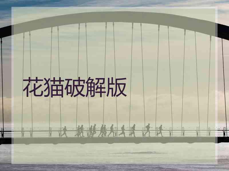 花猫破解版