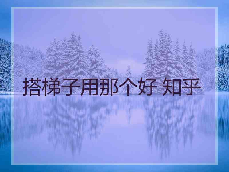 搭梯子用那个好 知乎