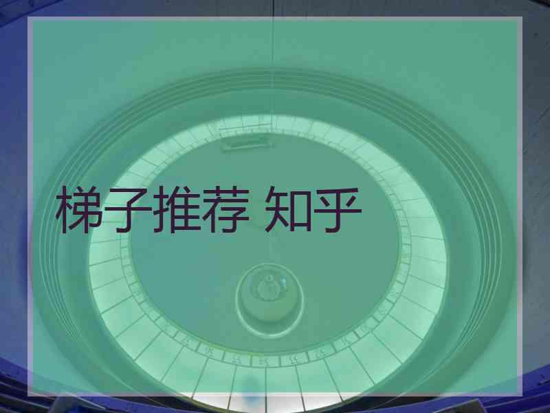 梯子推荐 知乎