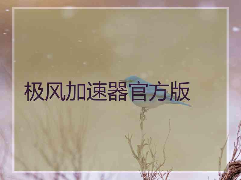 极风加速器官方版