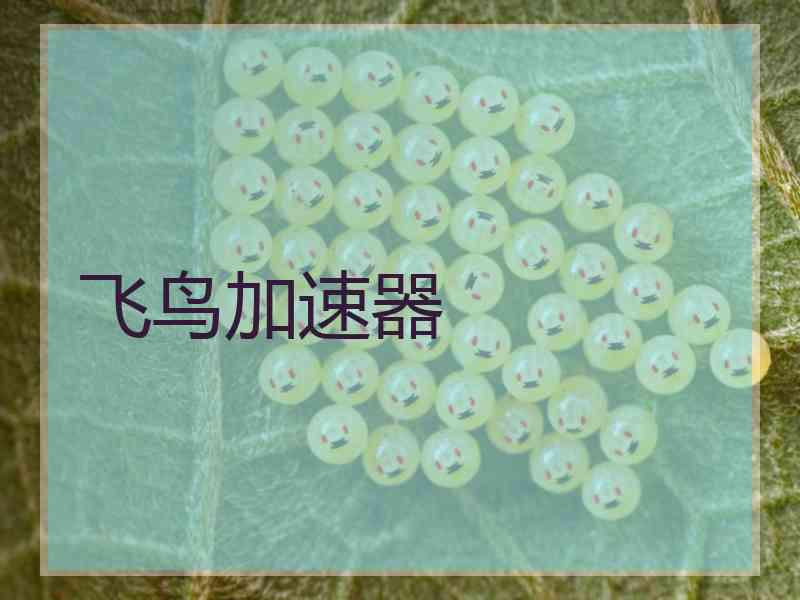 飞鸟加速器