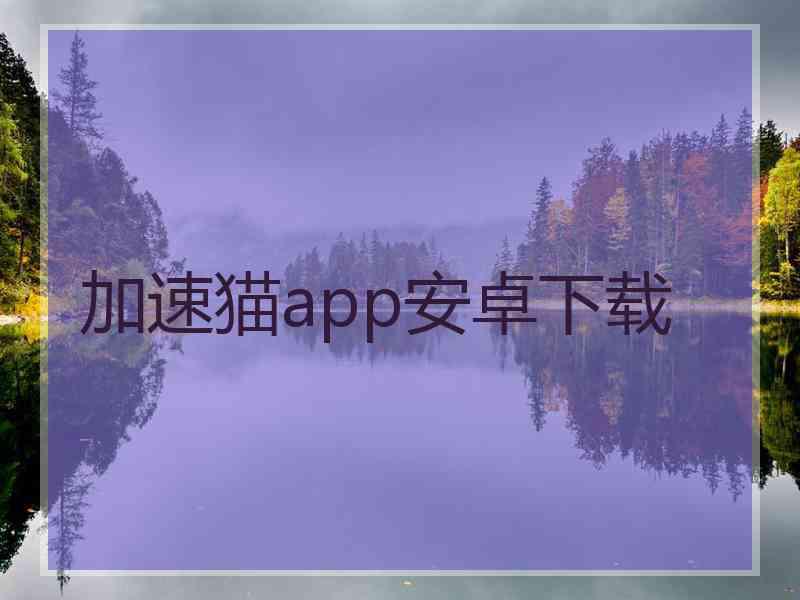 加速猫app安卓下载