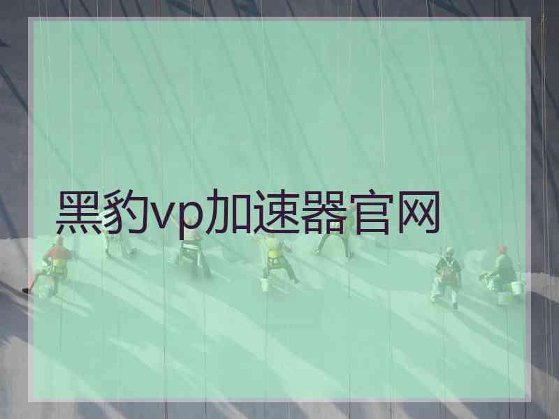 黑豹vp加速器官网