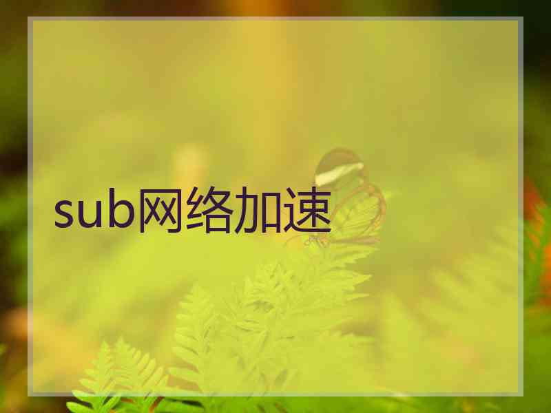 sub网络加速