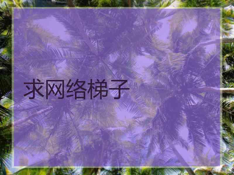 求网络梯子