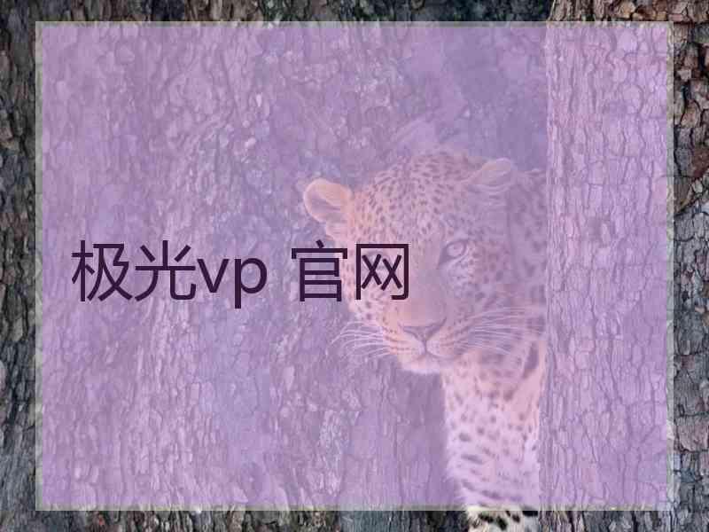 极光vp 官网