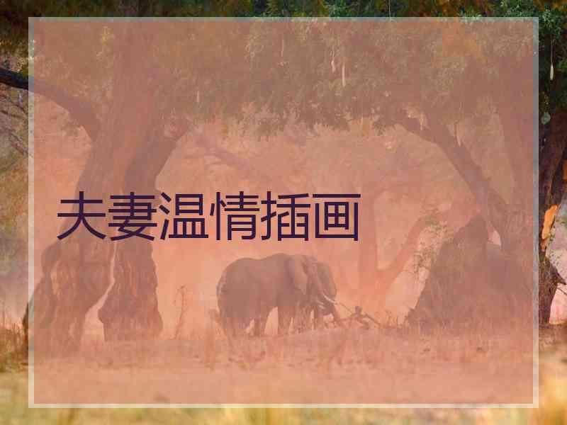 夫妻温情插画