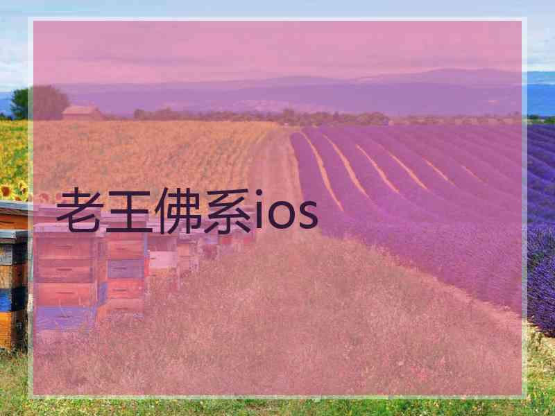 老王佛系ios