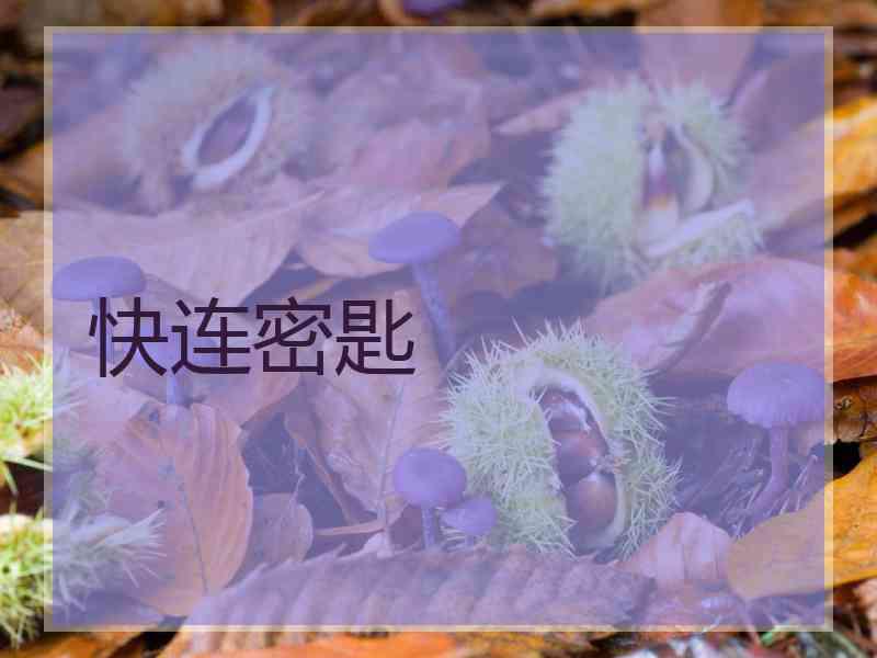 快连密匙