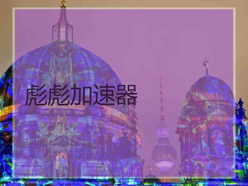 彪彪加速器