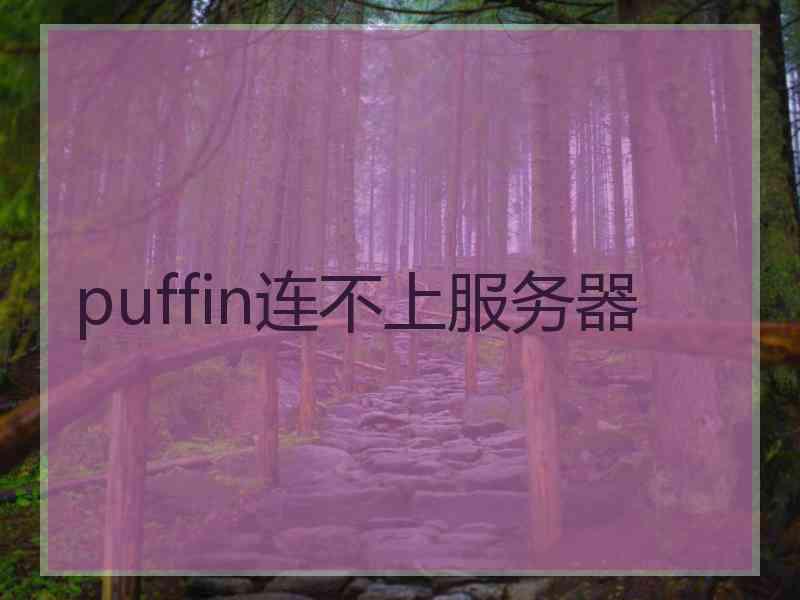 puffin连不上服务器