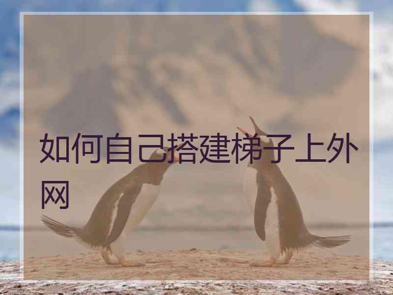 如何自己搭建梯子上外网