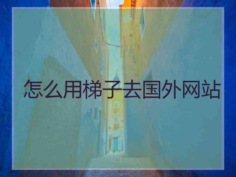怎么用梯子去国外网站