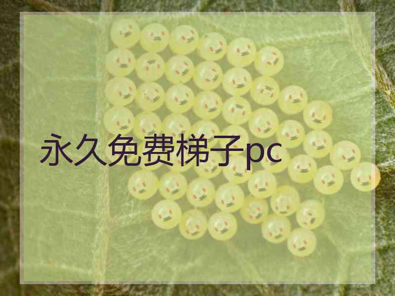 永久免费梯子pc
