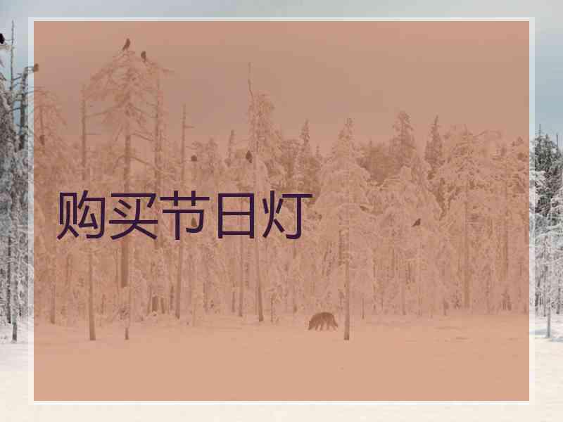 购买节日灯
