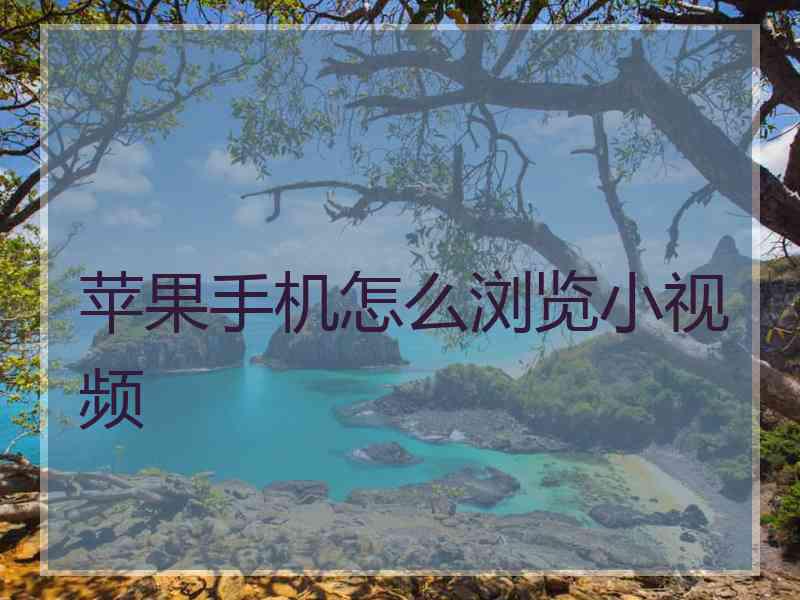 苹果手机怎么浏览小视频