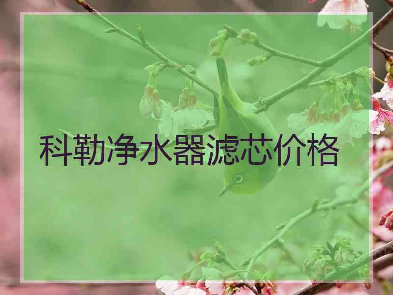 科勒净水器滤芯价格