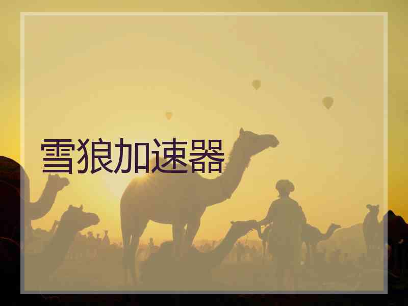 雪狼加速器