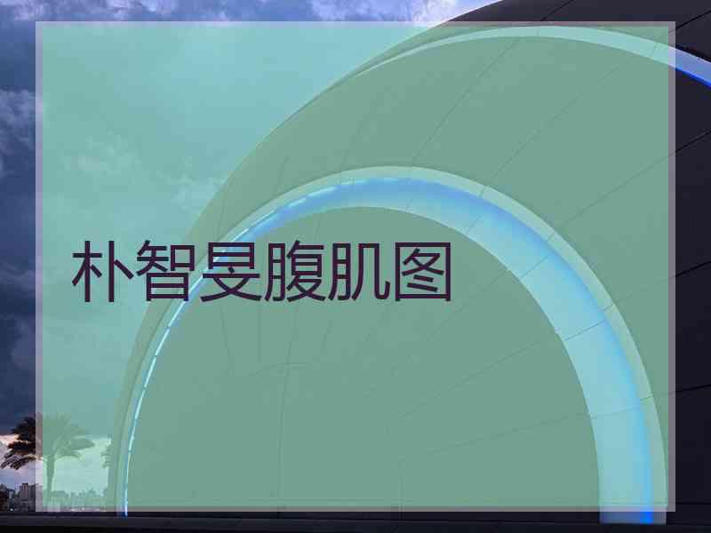 朴智旻腹肌图