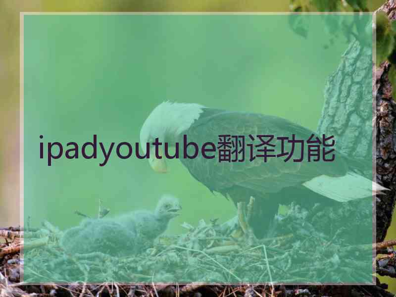 ipadyoutube翻译功能
