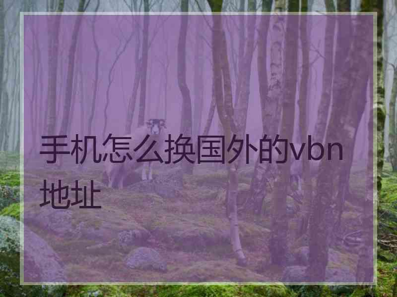 手机怎么换国外的vbn地址