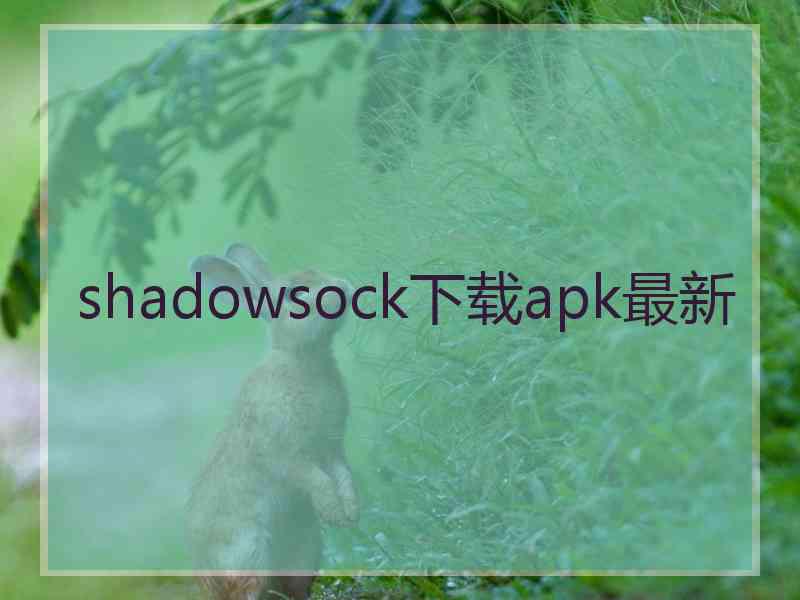 shadowsock下载apk最新