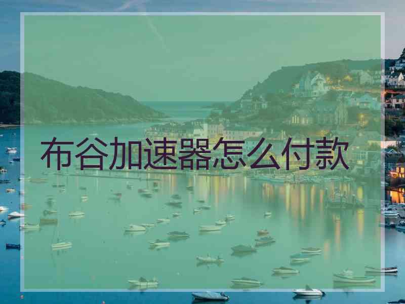 布谷加速器怎么付款
