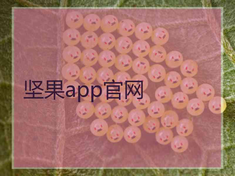 坚果app官网