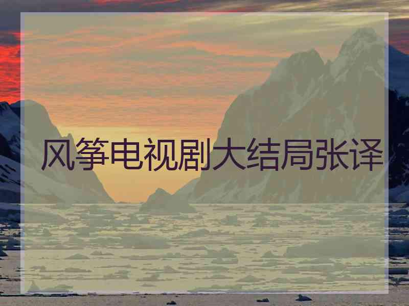 风筝电视剧大结局张译