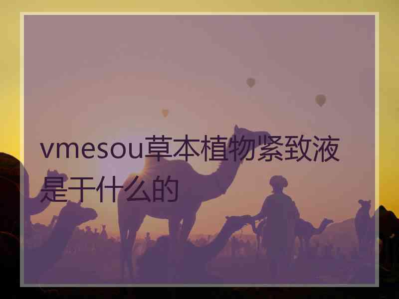 vmesou草本植物紧致液是干什么的