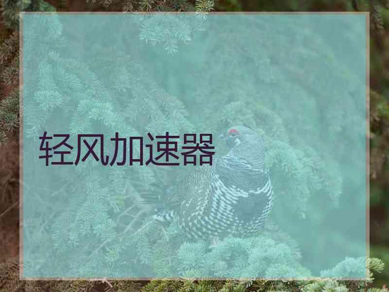 轻风加速器