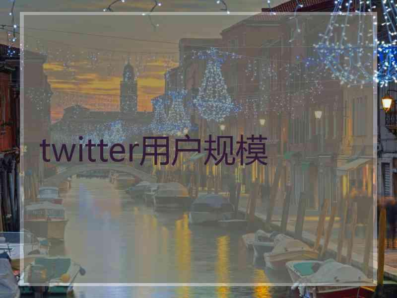 twitter用户规模