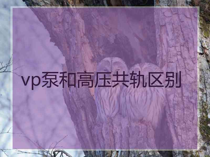 vp泵和高压共轨区别