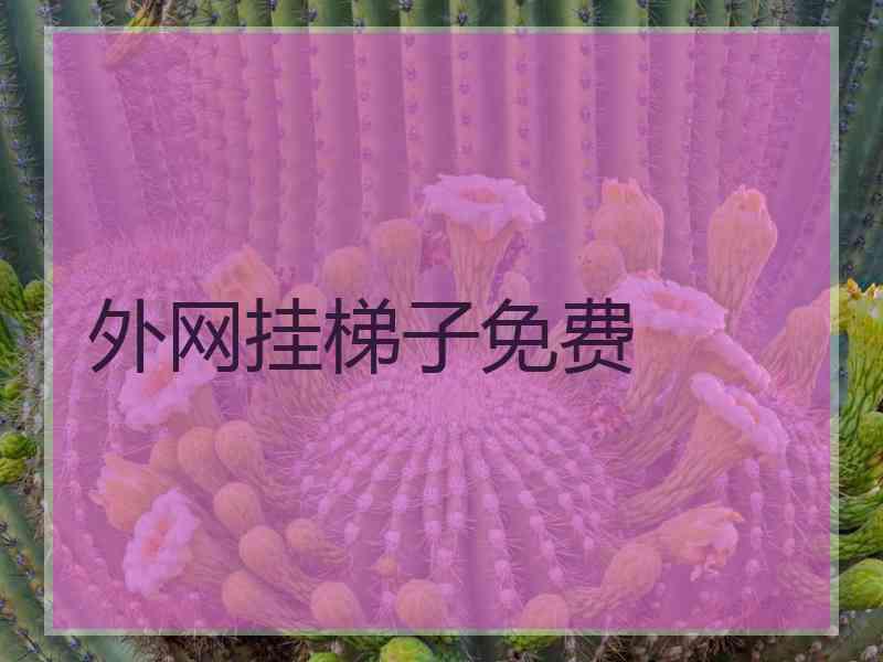 外网挂梯子免费
