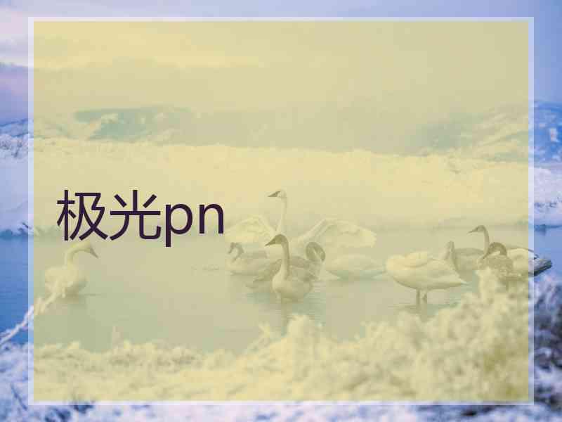 极光pn