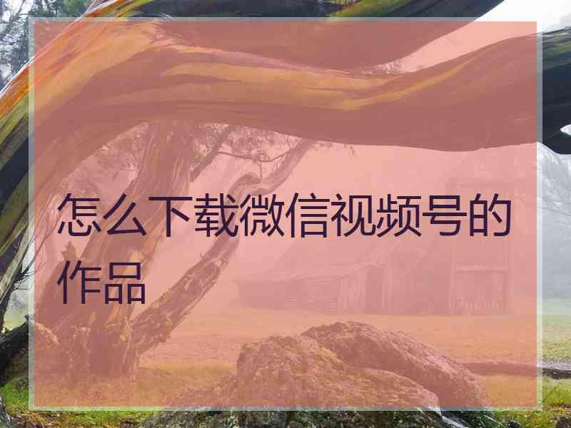 怎么下载微信视频号的作品