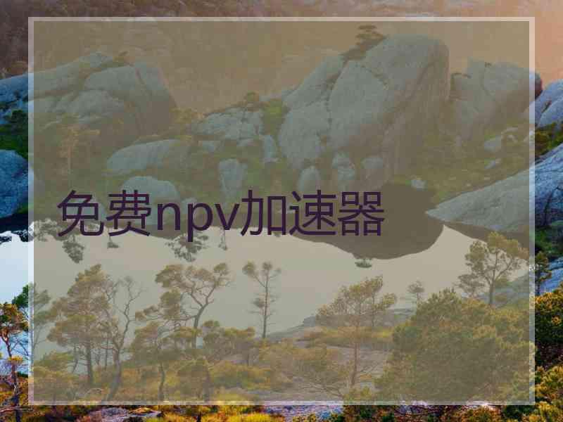 免费npv加速器