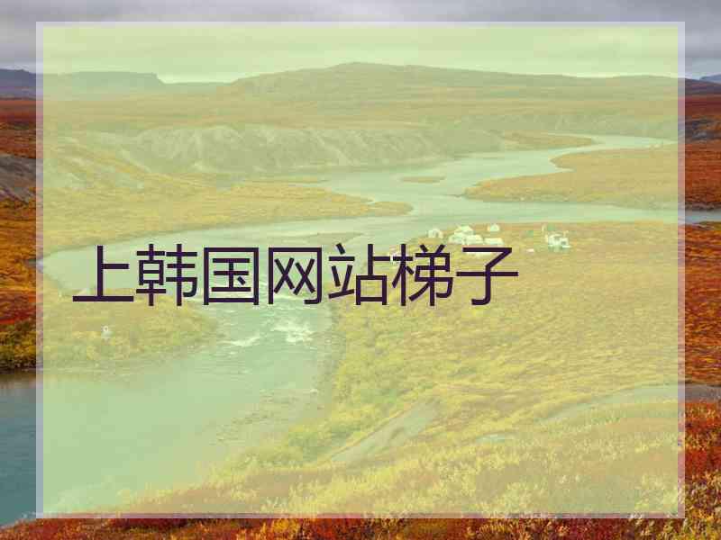 上韩国网站梯子