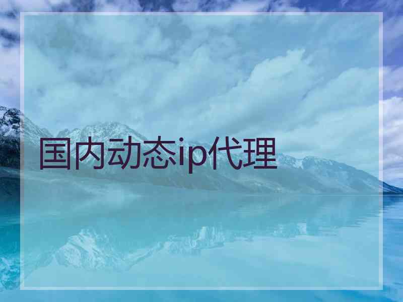 国内动态ip代理