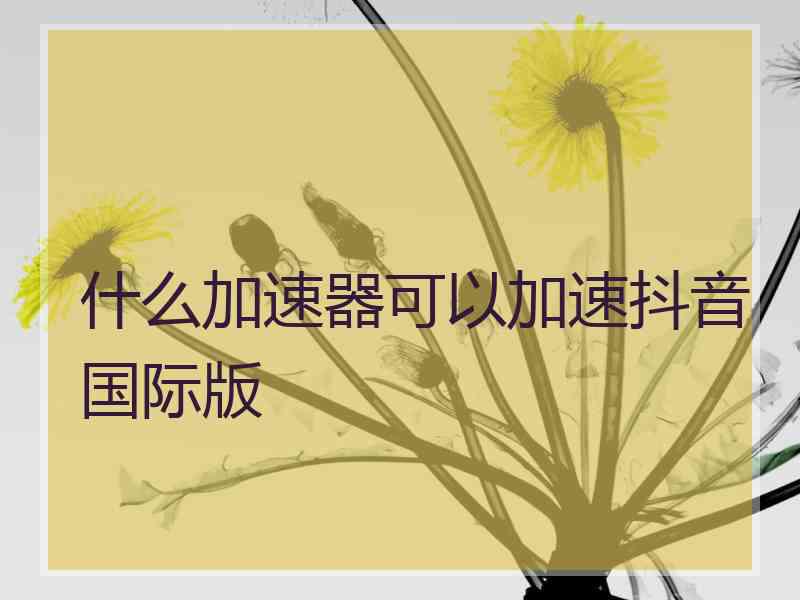 什么加速器可以加速抖音国际版