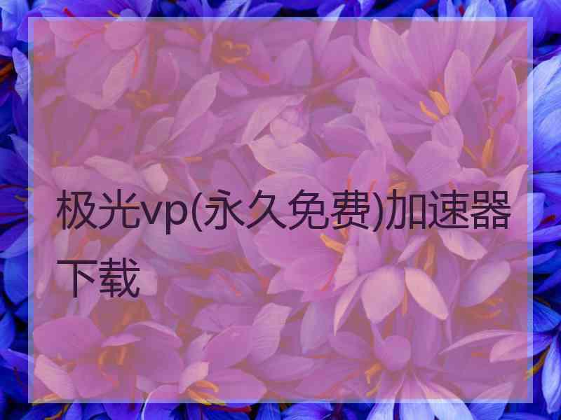 极光vp(永久免费)加速器下载