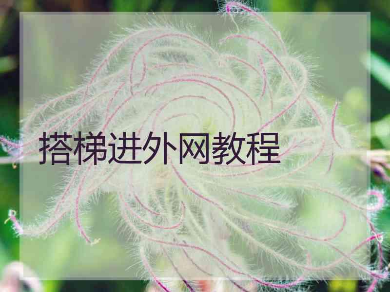 搭梯进外网教程